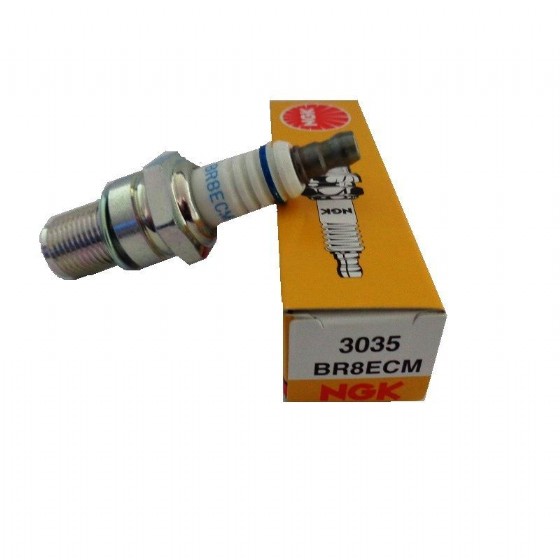 ��� ������ �.�.� SX250 �� 19 BR8ECM
