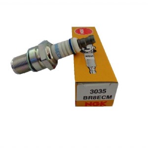 ��� ������ �.�.� SX250 �� 19 BR8ECM